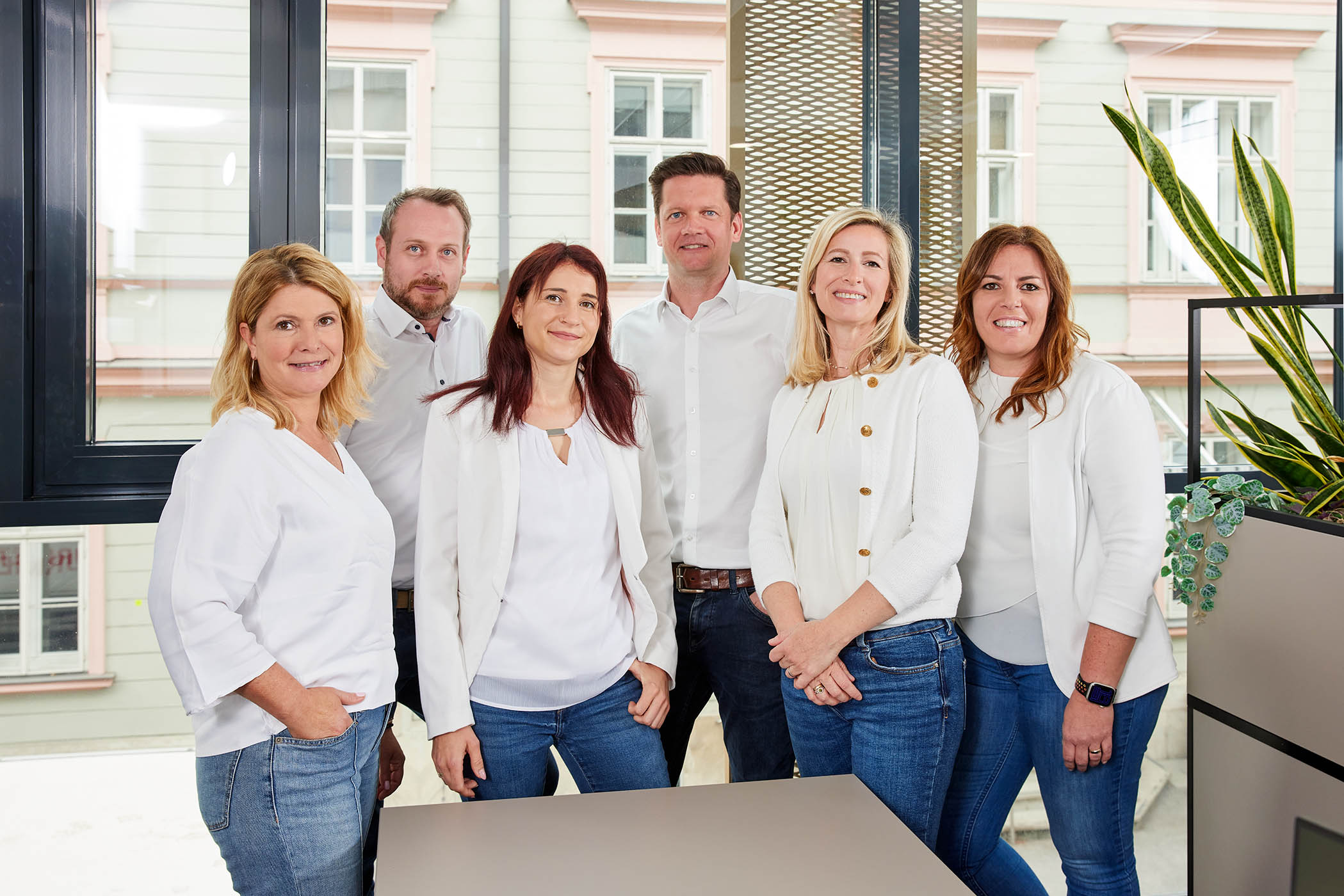 baufeld austria GmbH,